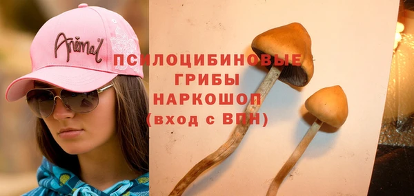 таблы Пестово