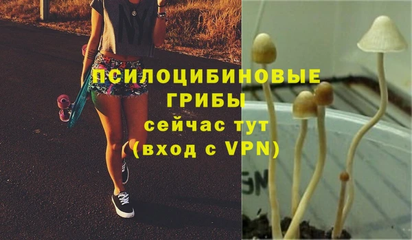 MDMA Premium VHQ Пересвет